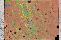 Drone mapping of <i>Stipagrostis namaquensis</i> in a 200 m × 200 m plot at Landsberg. The different colours show the locations of the digitized grass tussocks and various classes of ring diameters.