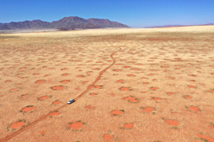 Drone image of car driving through the NamibRand Nature Reserve in April 2022.